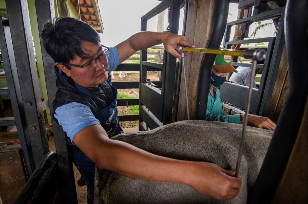 1º Simpósio Internacional Brahman/BoicomBula será no sábado