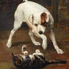 A Gata e o Cachorro