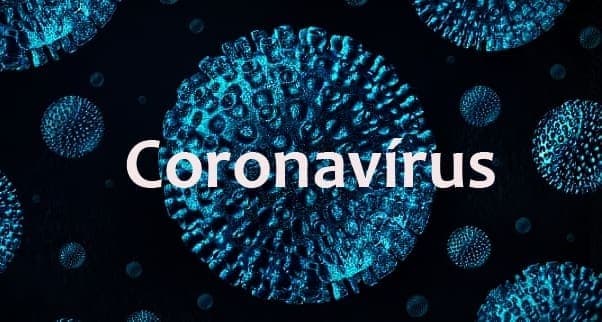 <strong>Corona vírus: Ponderação De Direitos Fundamentais</strong>
