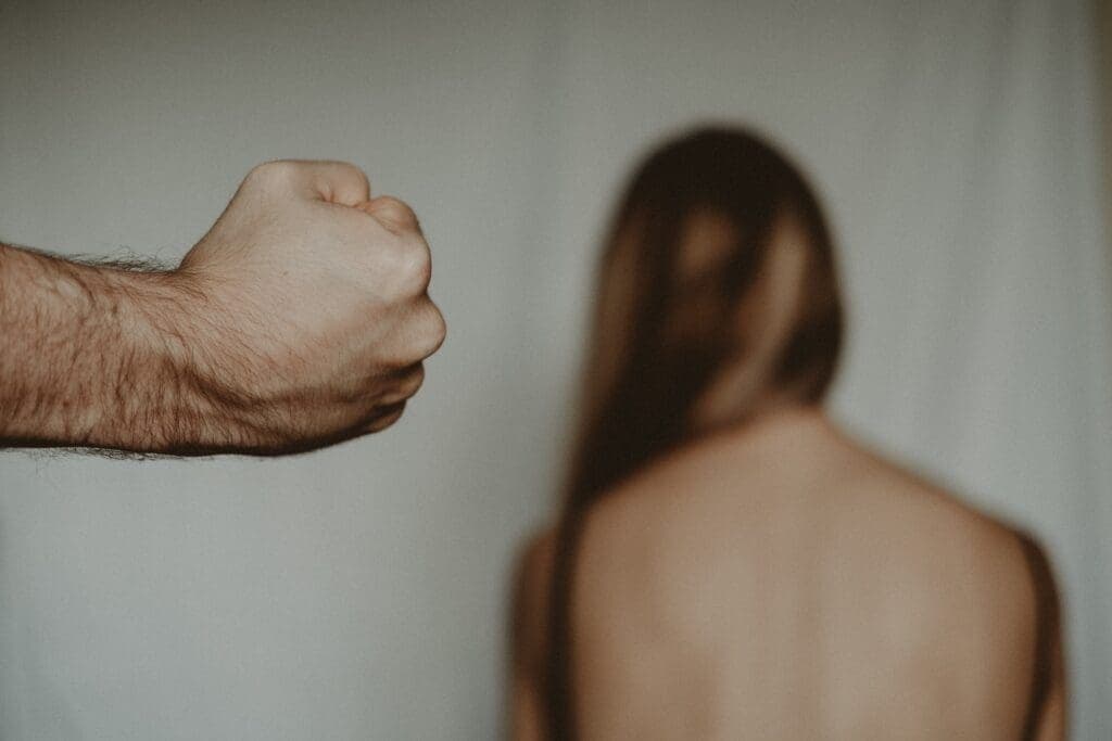O perfil da mulher vítima de violência doméstica e familiar em Belém: uma análise das políticas públicas existentes