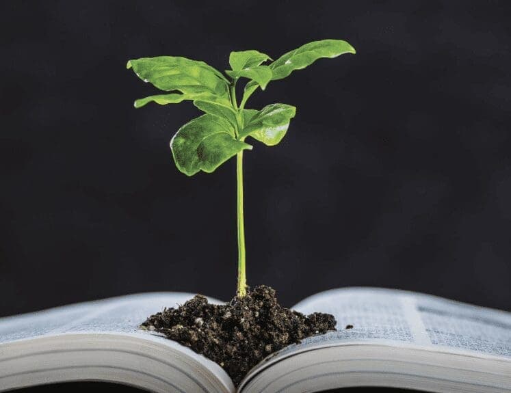Sobre arquitetura e urbanismo temáticas culturais: A Educação Ambiental e à Sociedade