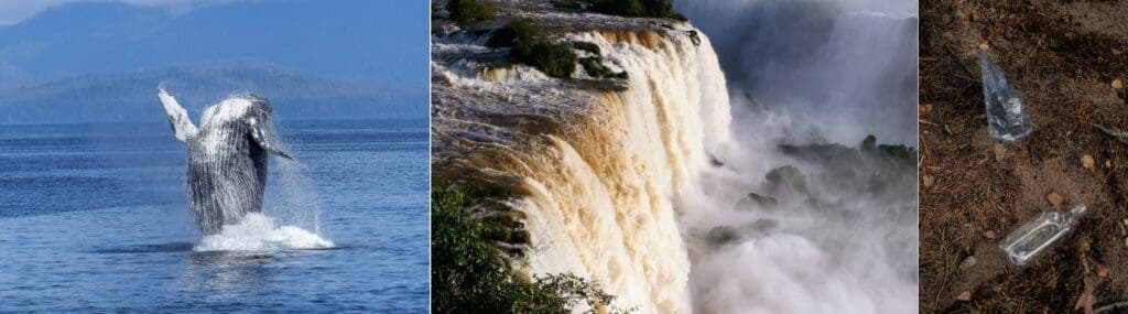 Baleias, Foz do Iguaçu e o Problema Ambiental