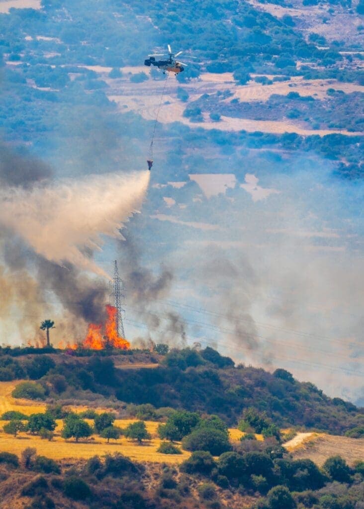 Responsabilidade criminal por dano ambiental