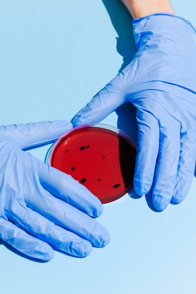 Perfil microbiológico de hemoculturas positivas, coletadas em uma unidade de terapia intensiva neonatal de Fortaleza